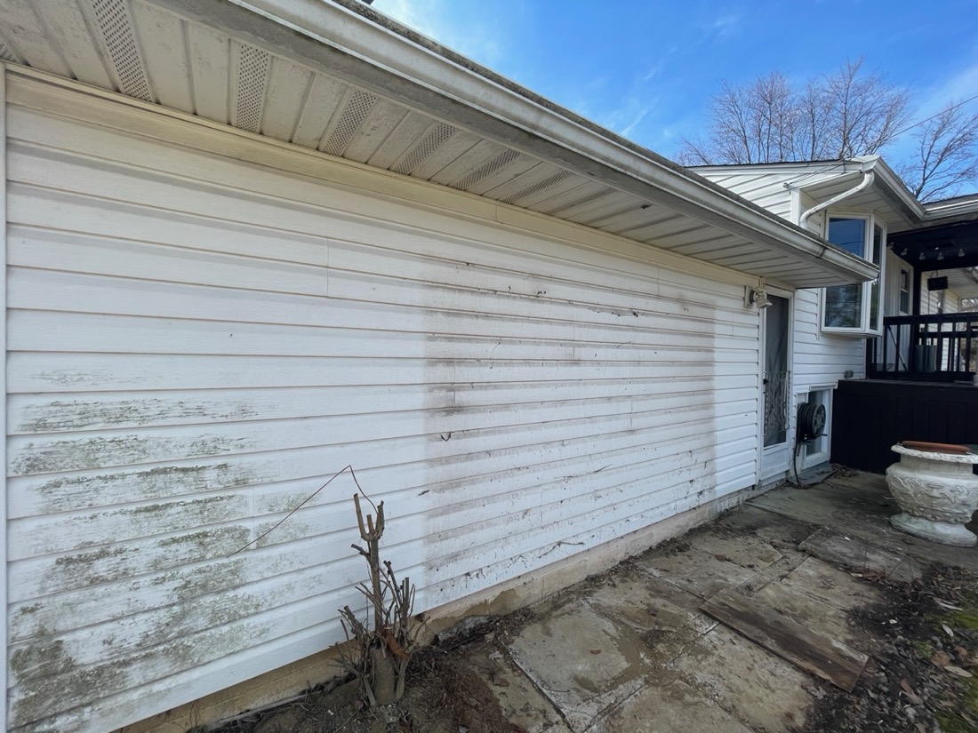House siding covered in algae before Pinnacle Wash treatment